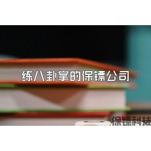 练八卦掌的保镖公司