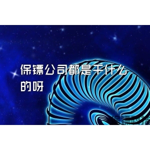 保镖公司都是干什么的呀