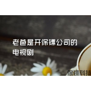 老爸是开保镖公司的电视剧