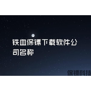 铁血保镖下载软件公司名称