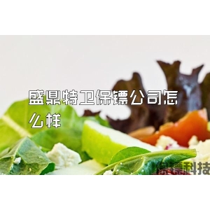 盛鼎特卫保镖公司怎么样