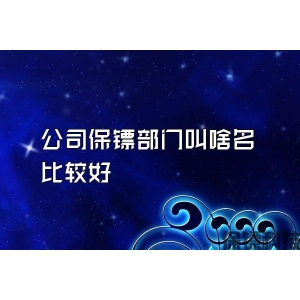 公司保镖部门叫啥名比较好