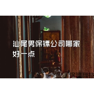 汕尾男保镖公司哪家好一点