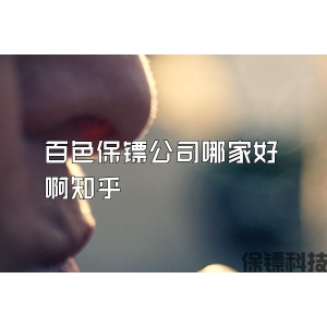 百色保镖公司哪家好啊知乎