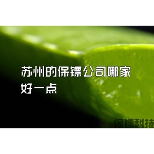 苏州的保镖公司哪家好一点