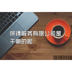 保镖服务有限公司是干嘛的呢