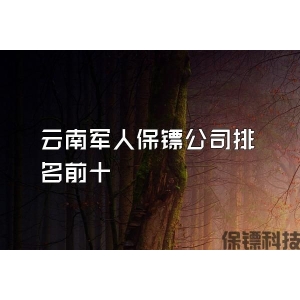 云南军人保镖公司排名前十