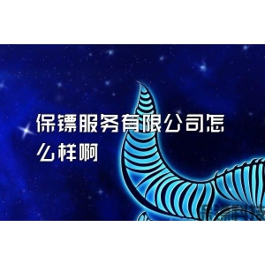 保镖服务有限公司怎么样啊