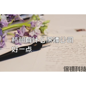 杭州有什么保镖公司好一点