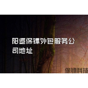 阳逻保镖外包服务公司地址