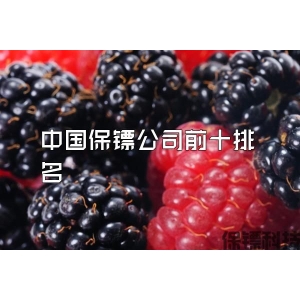 中国保镖公司前十排名