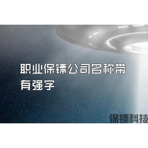 职业保镖公司名称带有强字