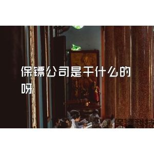 保镖公司是干什么的呀