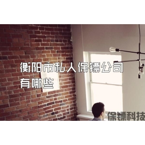 衡阳市私人保镖公司有哪些