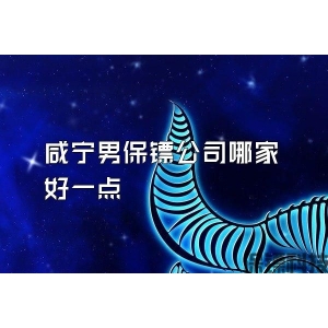 咸宁男保镖公司哪家好一点