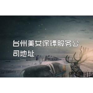 台州美女保镖服务公司地址