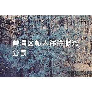 黄浦区私人保镖服务公司
