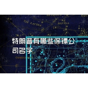 特朗普有哪些保镖公司名字