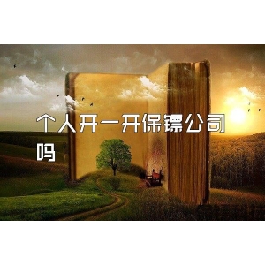 个人开一开保镖公司吗