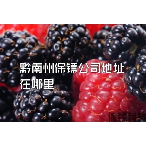 黔南州保镖公司地址在哪里