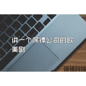讲一个保镖公司的欧美剧