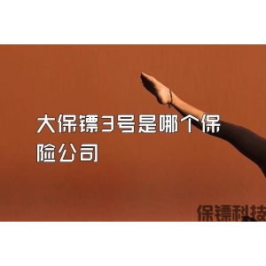 大保镖3号是哪个保险公司
