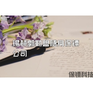 锡林郭勒盟随身保镖公司