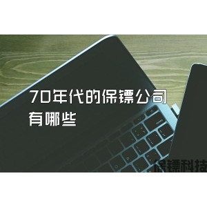 70年代的保镖公司有哪些