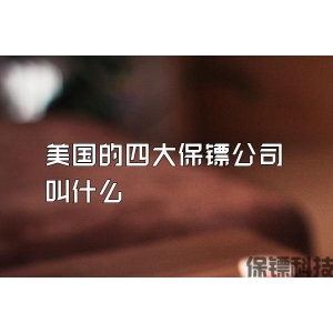 美国的四大保镖公司叫什么