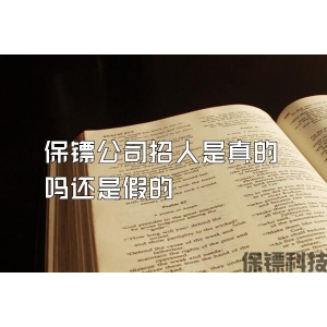 女保镖保护公司老板电视剧
