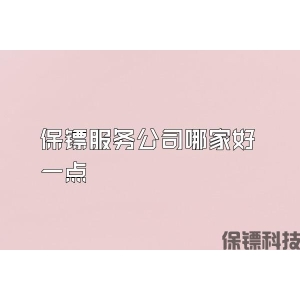 保镖服务公司哪家好一点