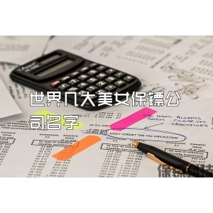世界几大美女保镖公司名字