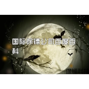 国际保镖公司百度百科