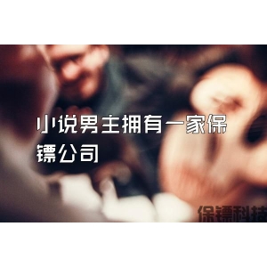 小说男主拥有一家保镖公司