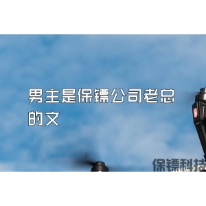 男主是保镖公司老总的文