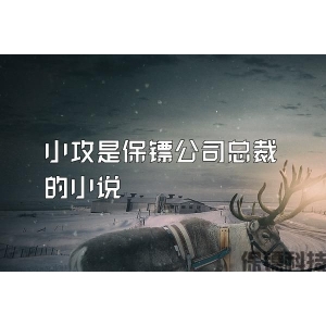 小攻是保镖公司总裁的小说
