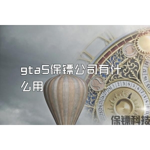 gta5保镖公司有什么用