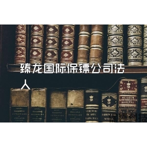 臻龙国际保镖公司法人