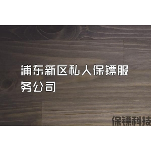 浦东新区私人保镖服务公司