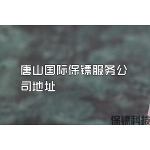 唐山国际保镖服务公司地址