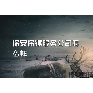 保安保镖服务公司怎么样