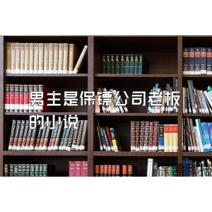 男主是保镖公司老板的小说