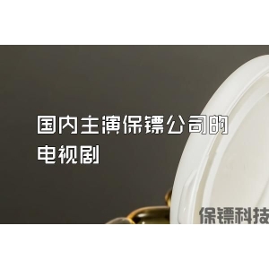 国内主演保镖公司的电视剧