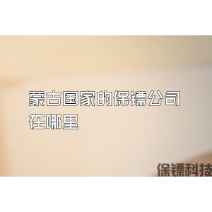 蒙古国家的保镖公司在哪里