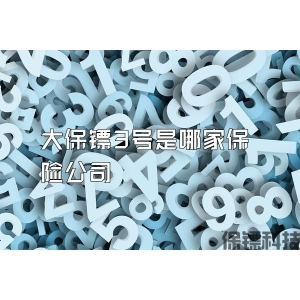 大保镖3号是哪家保险公司