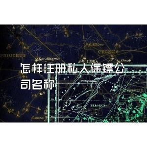 怎样注册私人保镖公司名称