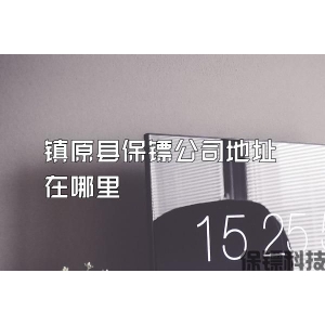 镇原县保镖公司地址在哪里