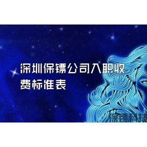 深圳保镖公司入职收费标准表