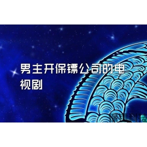 男主开保镖公司的电视剧