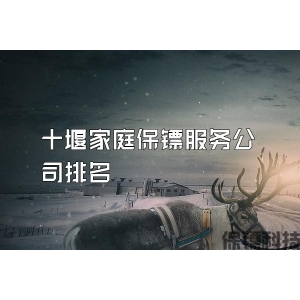 十堰家庭保镖服务公司排名